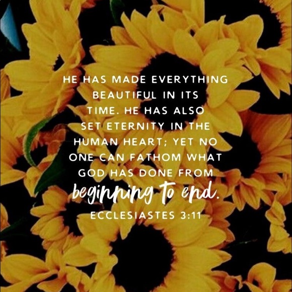 Meet your Posher, Amber - Picture 5 of 6